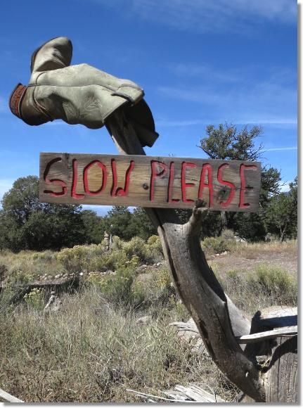 Slowplease