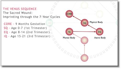 VenusSeq7yearcycles